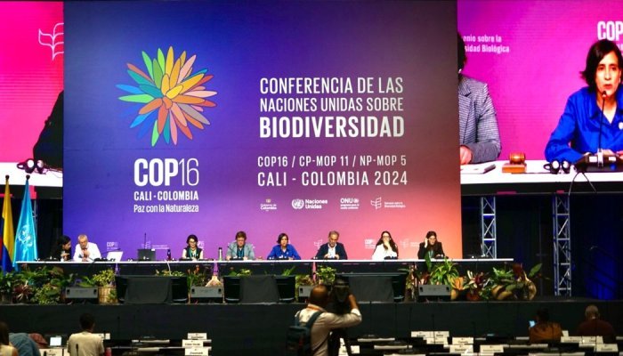 UN summit votes fund to share benefits of nature's sequenced genetic data