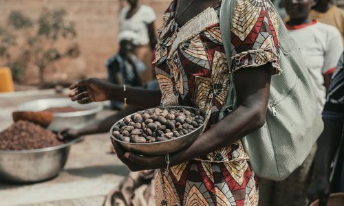 Matières premières : Le Burkina Faso suspend ses exportations de karité