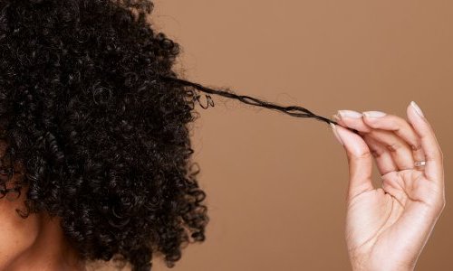 Provalliance va former ses coiffeurs aux cheveux bouclés, frisés et crépus