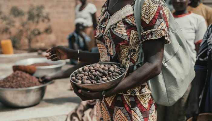 Matières premières : Le Burkina Faso suspend ses exportations de karité