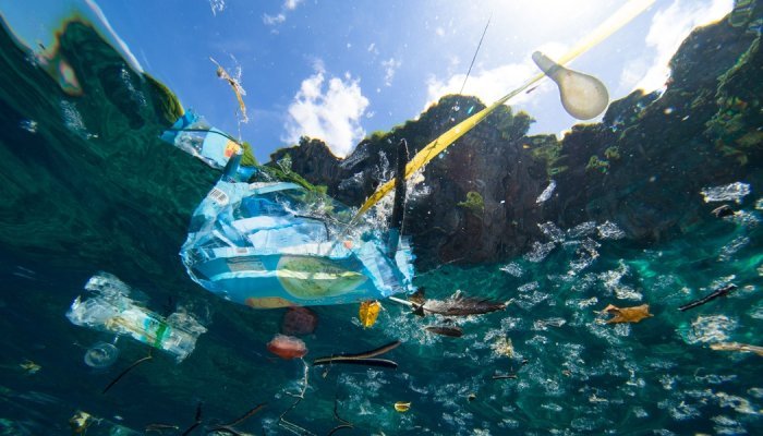 États-Unis : Interdire les sacs plastiques réduit la pollution sur les plages