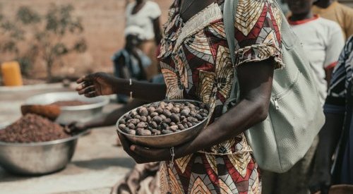 Raw materials: Burkina Faso has suspended all shea exports