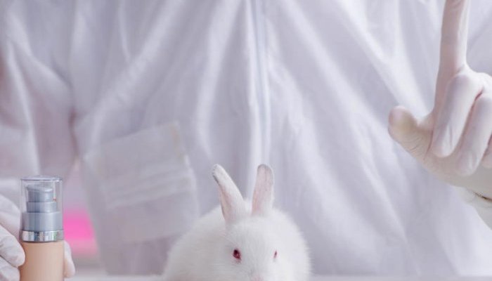 Colombia to ban use of animals in cosmetics testing by 2024