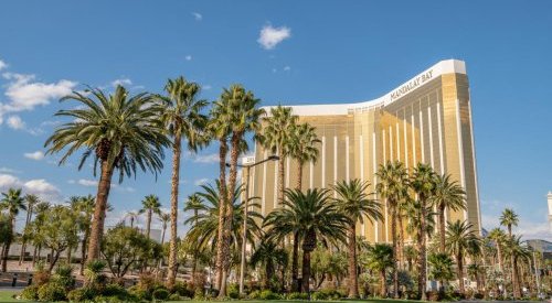 Cosmoprof North America Las Vegas to open its doors from July 23-25, 2024