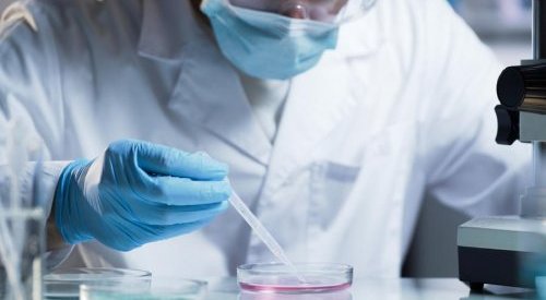 BASF and Givaudan get OECD approval for first animal-free toxicology testing